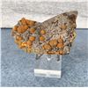Image 1 : Botryoidal Mimetite Chihuahua Mexico Specimen