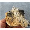 Image 4 : Bornite on Quartz Steward Mine Specimen