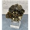 Image 1 : Iron Pyrite on Quartz Butte Montana Specimen