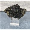 Image 1 : Covellite Butte Montana Specimen