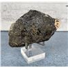 Image 2 : Iron Pyrite Capped Quartz Crystal Specimen