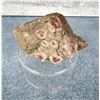 Image 1 : Rhodonite Butte Montana Specimen