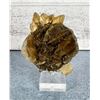 Image 1 : Gypsum Selenite Rose Specimen