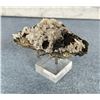 Image 1 : Bornite on Quartz Steward Mine Specimen