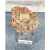 Image 2 : Rhodochrosite with Pyrite Butte Montana Specimen
