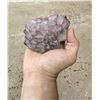 Image 1 : Amethyst Cluster Butte Montana Specimen
