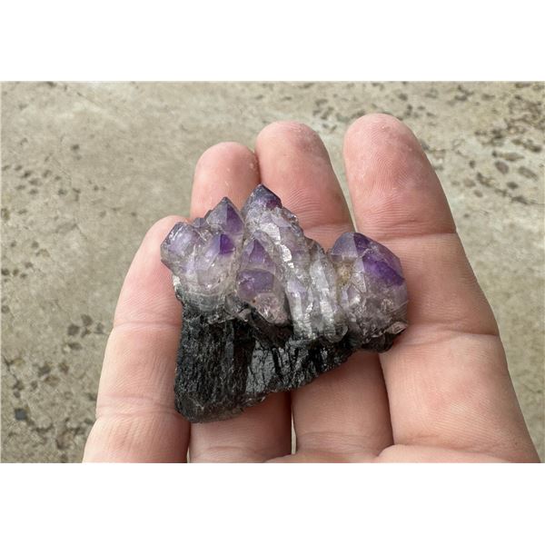 Amethyst Big Timber Montana Specimen