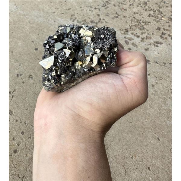 Enargite and Pyrite Butte Montana Specimen