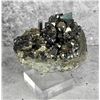 Image 2 : Enargite and Pyrite Butte Montana Specimen