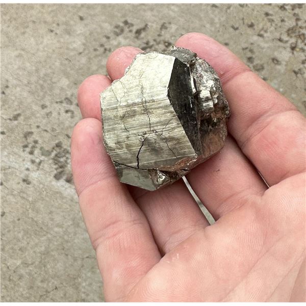 Pyrite Butte Montana Specimen