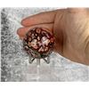 Image 2 : Red Cobra Ocean Jasper Sphere