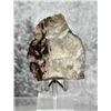 Image 2 : Native Gold in Quartz Montana Specimen