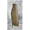 Image 2 : Unknown Polished Fossil Slab