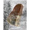Image 2 : Arizona Pink Agate Specimen