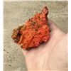 Image 1 : Crocoite Cluster Tasmania Australia Specimen