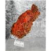 Image 2 : Crocoite Cluster Tasmania Australia Specimen