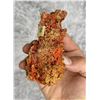 Image 3 : Crocoite Cluster Tasmania Australia Specimen