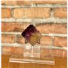 Image 1 : Bicolor Fluorite Tri State District Specimen