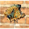 Image 3 : Azurite and Malachite Bisbee Arizona Specimen