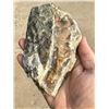 Image 2 : Agate Nodule