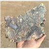 Image 2 : Polished Lace Agate Slab