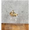 Image 4 : Native Gold Death Valley California Specimen