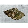 Image 2 : Digenite Leonard Mine Butte Montana Specimen