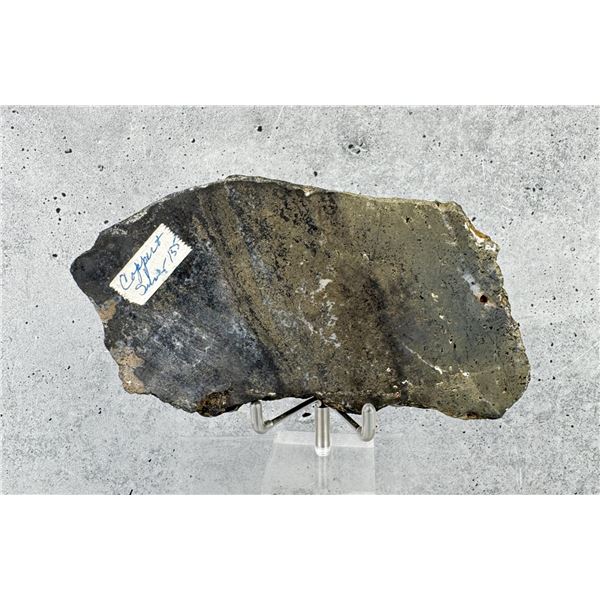 Bornite and Silver Butte Montana Specimen
