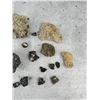 Image 3 : Enargite Pyrite Bornite Butte Montana Specimens