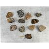 Image 1 : Collection of Montana Mineral Specimens