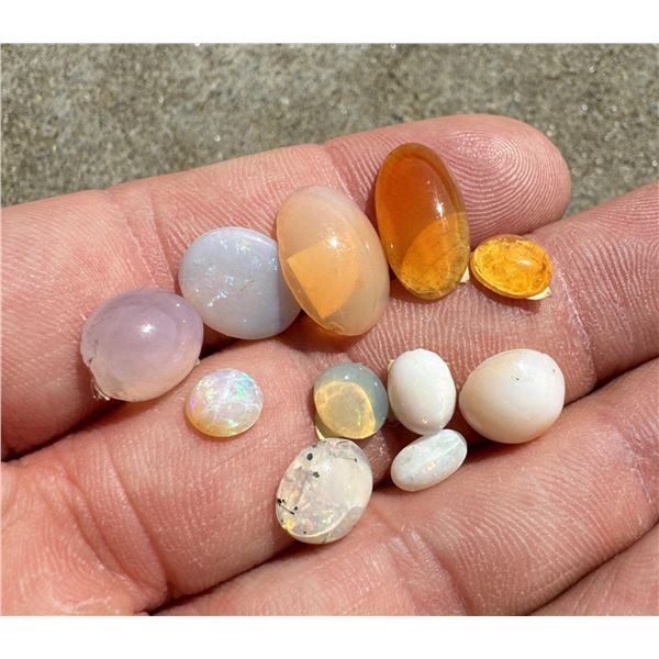 Collection of Opal Cabochons