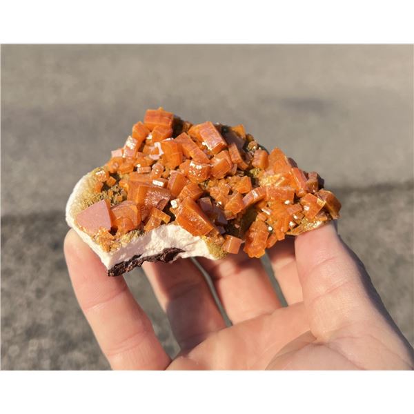 Wulfenite Los Lamentos Mexico Specimen