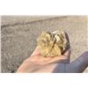 Image 2 : Golden Barite Baryte Specimen