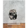 Image 1 : Hematite Crystals on Quartz Butte Montana Specimen