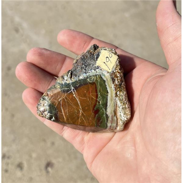 Polished Montana Geode
