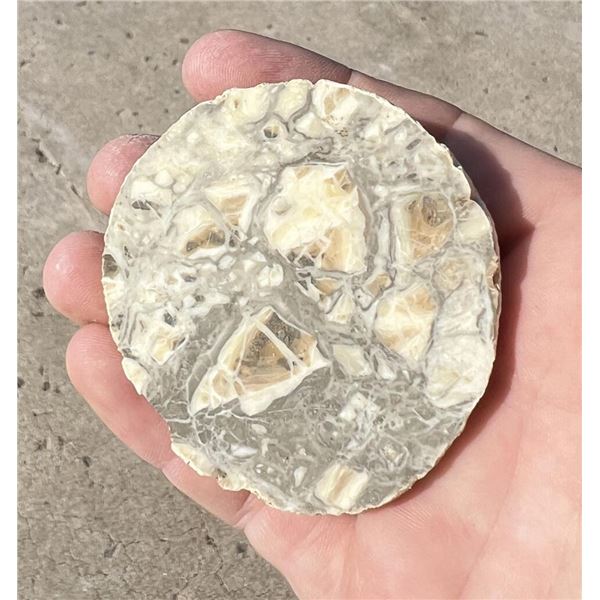 Polished Agate Nodule