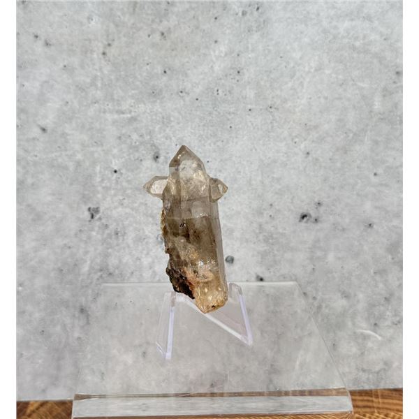 Silver Phantom in Quartz Montana Specimen