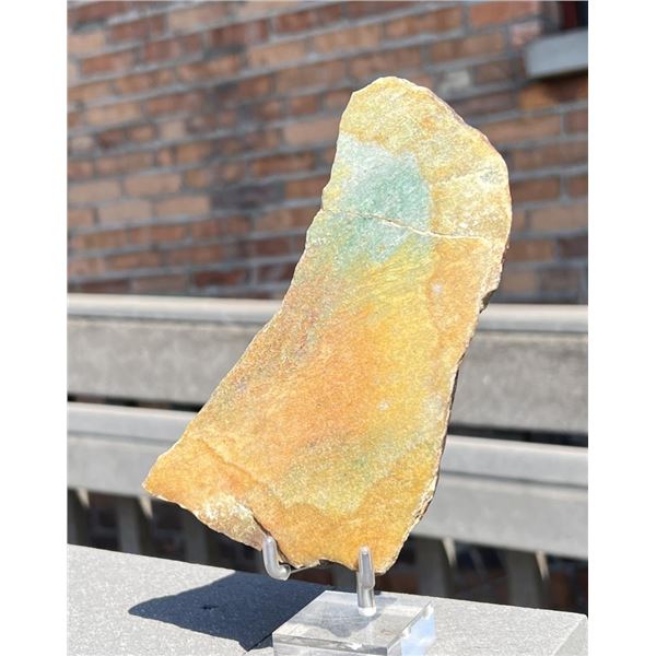 Sediment Conglomerate Specimen