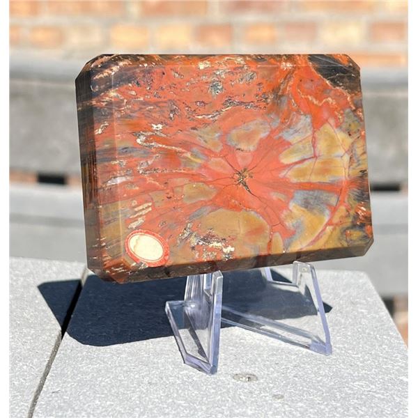 Serpentine England Slab Specimen