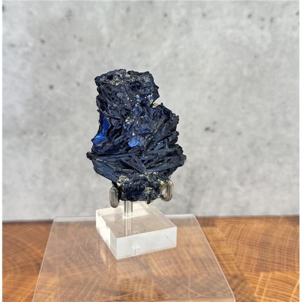 Stunning Covellite Butte Montana Specimen