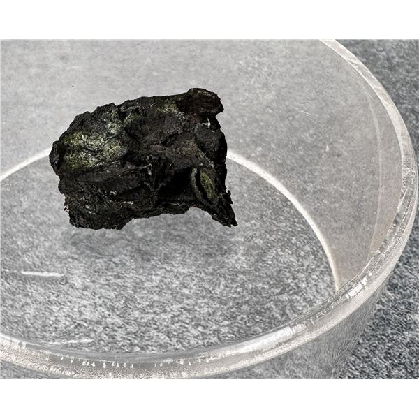 Colorado Silver Specimen