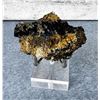 Image 1 : Covellite and Pyrite Specimen Butte Montana