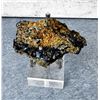 Image 2 : Covellite and Pyrite Specimen Butte Montana