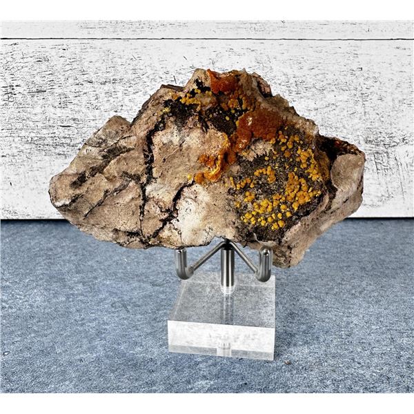 Botryoidal Mimetite Chihuahua Mexico Specimen