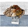 Image 1 : Botryoidal Mimetite Chihuahua Mexico Specimen