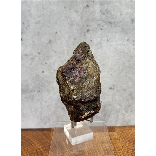Rubellite in Schist Montana Specimen