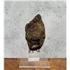 Image 3 : Rubellite in Schist Montana Specimen