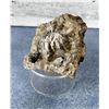 Image 1 : Bornite Chalcopyrite Butte Montana Specimen
