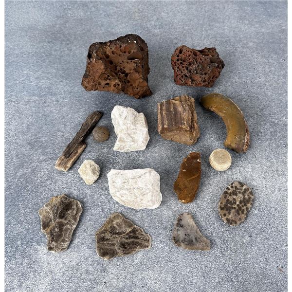 Collection of Mineral Specimens and Fossils