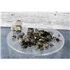 Image 2 : Collection of Pyrite Mineral Specimens Butte